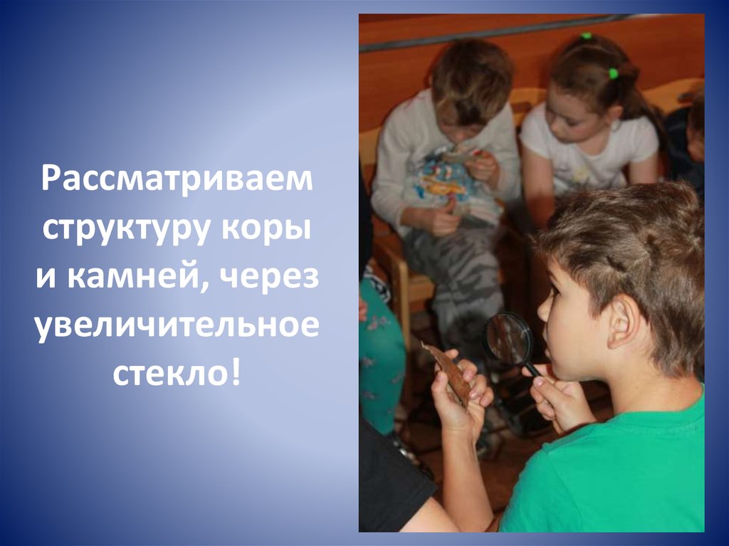 Рассматриваем структуру коры и камней, через увеличительное стекло!