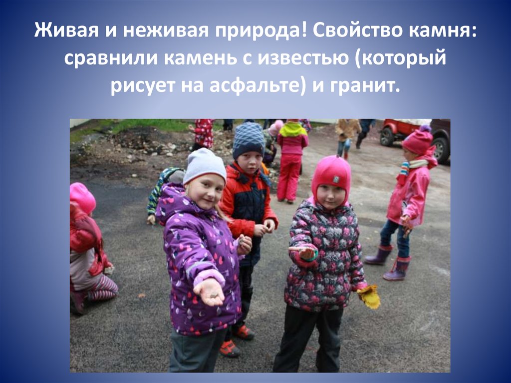 Живая и неживая природа! Свойство камня: сравнили камень с известью (который рисует на асфальте) и гранит.