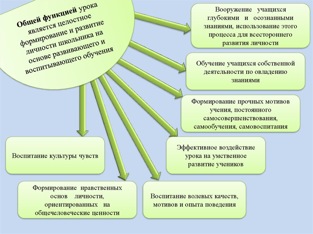 Виды судопроизводства курсовая