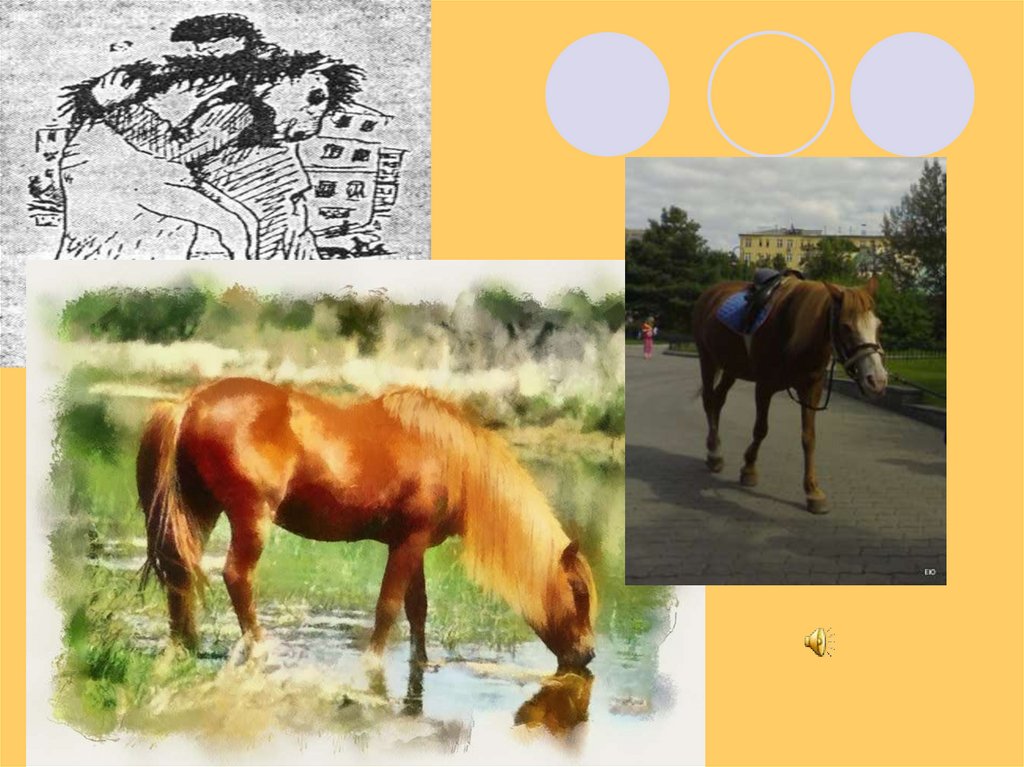 Хорошее отношение к лошадям сравнение. Хорошее отношение к лошадям Маяковский. Хорошее отношение к лошадям иллюстрации. Иллюстрация к стихотворению хорошее отношение к лошадям.