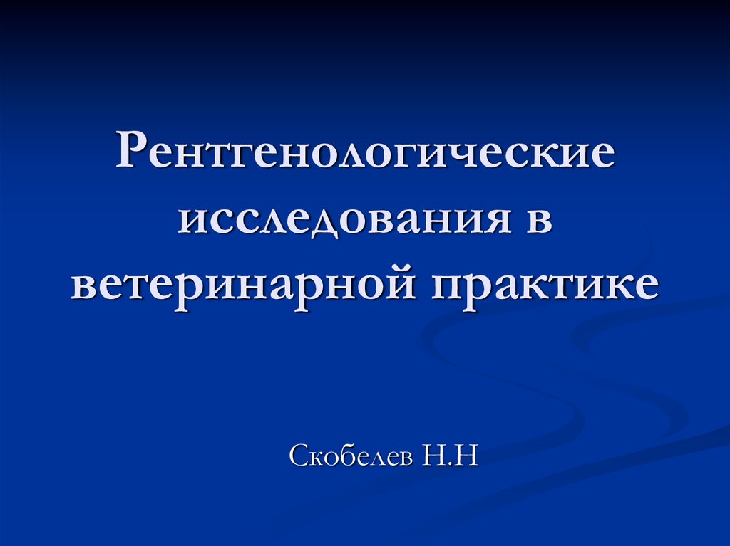 Производственная практика ветеринаров. Презентация практики в ветеринарии.