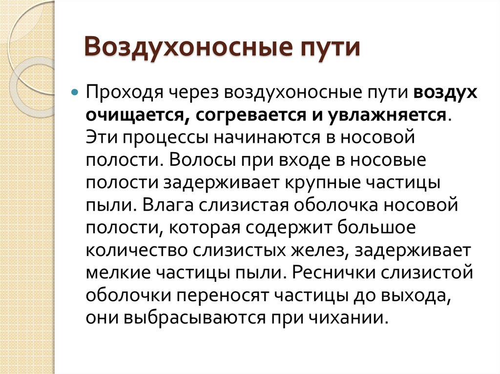 Воздухоносные пути выстланы. Воздухоносные пути. Функции воздухоносных путей. Заболевания воздухоносных путей. Воздухоносные пути начинаются.