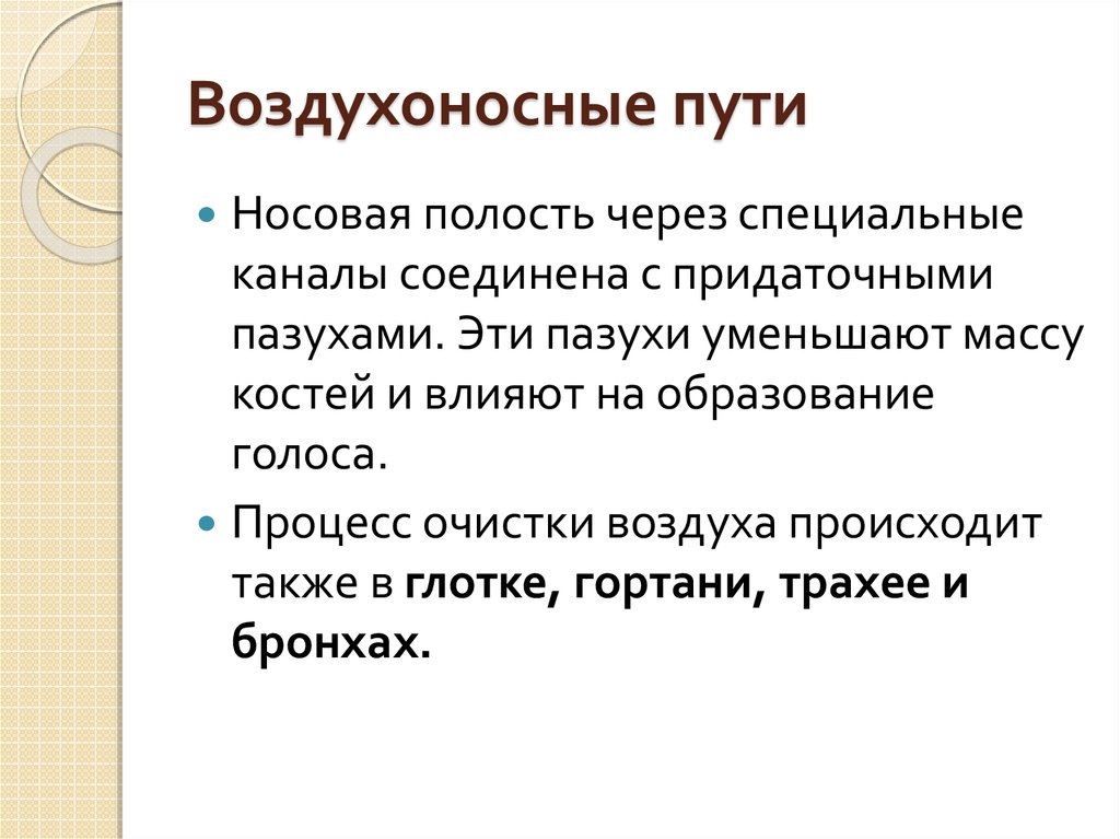 Воздухоносные пути таблица. Воздухоносные пути. Болезни воздухоносных путей. Воздухоносные пути птиц. Воздухоносные почвы это.