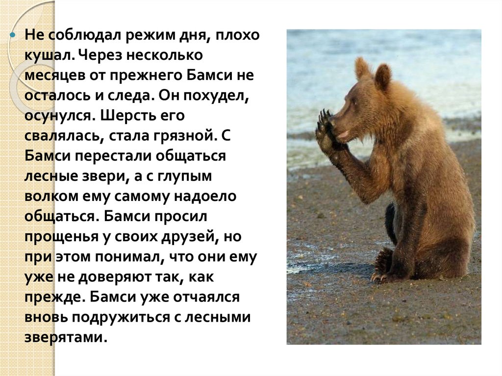 Рассказ про медведя 1 класс. Рассказ о медведе. Медведь сказка. Расскажи про мишку. Политические сказки про медведя.
