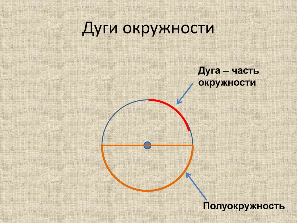 Дуга окружности. Элементы окружности и круга.