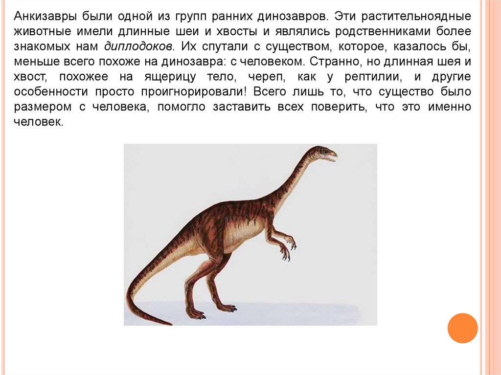 Какую длину имеют животные. Растительноядные динозавры. Динозавр с очень длинной шеей и хвостом. У каких животных длинная шея. У рептилий длинная шея и хвост?.
