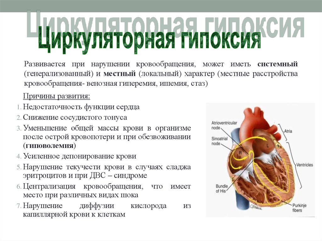 Тема гипоксия. Циркуляторная гипоксия. Причины циркуляторной гипоксии. Сердечно сосудистая гипоксия. Циркуляторная гипоксия презентация.