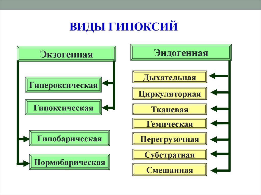 Виды гипоксии схема