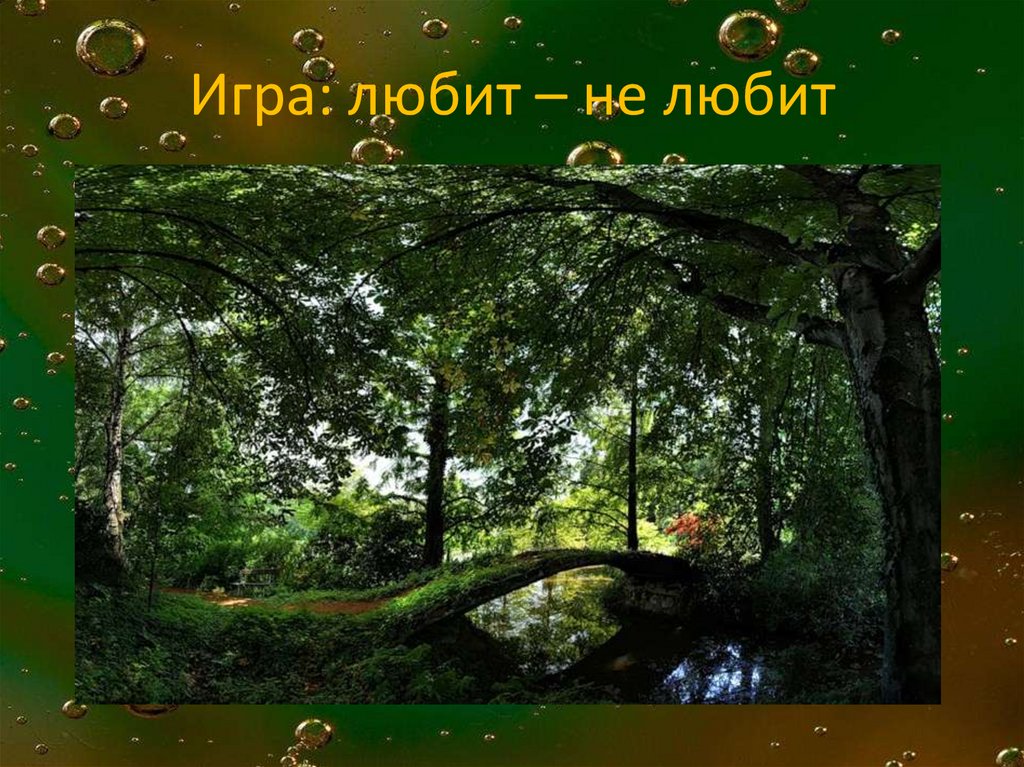 Игра: любит – не любит