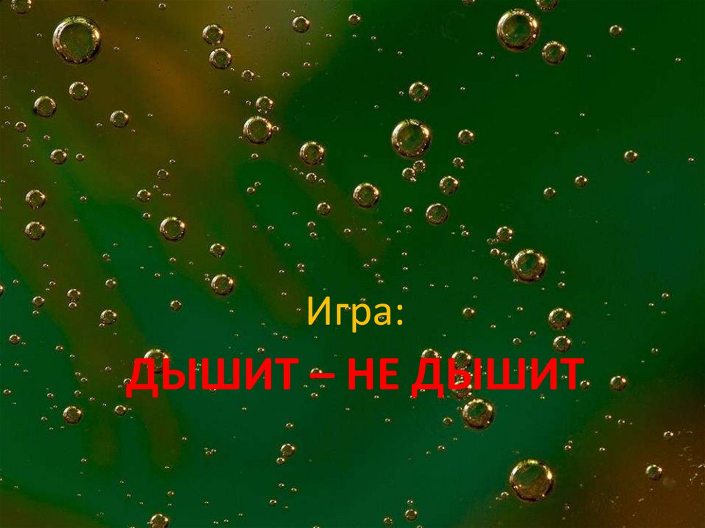 Дышит – не дышит
