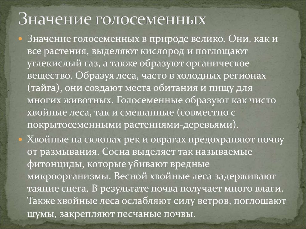 Значение голосеменные в природе и жизни человека