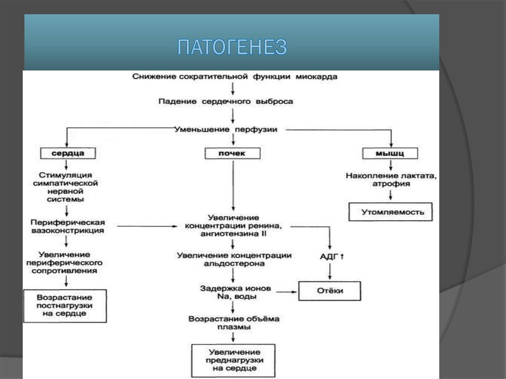 Патогенез развитие. Схема патогенеза невроза. Гиперсаливация патогенез. Патогенез центрального паралича. Правожелудочковая сердечная недостаточность патогенез.
