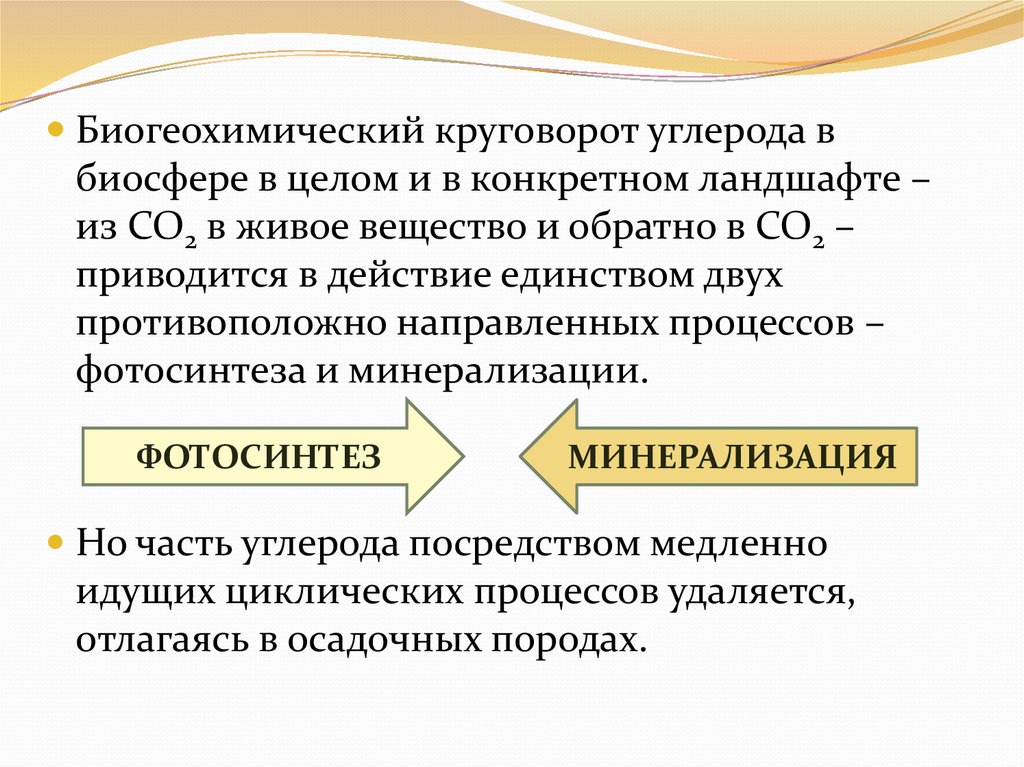 Живое вещество и биогеохимические круговороты в биосфере презентация 11 класс