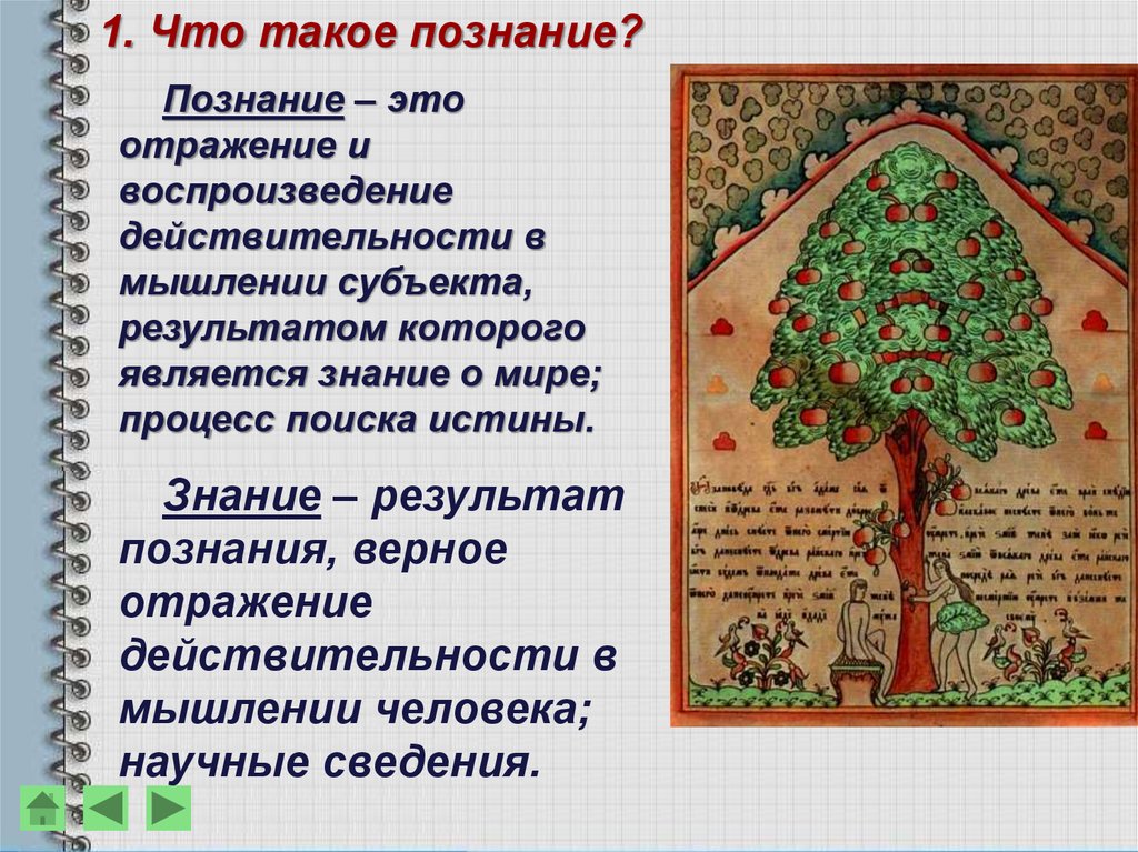 Что такое познание. Познание. 1. Что такое познание. Познание это кратко. Познание и знание.