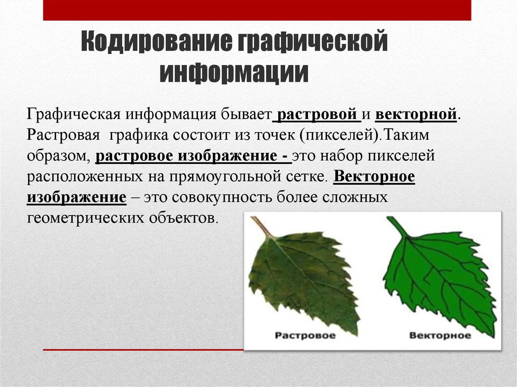 В чем разница между растровым и векторным способами представления изображения 7 класс