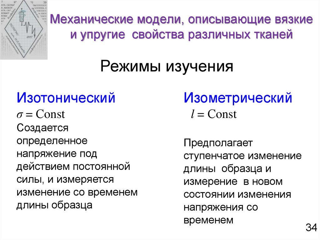 Механические свойства биологических тканей