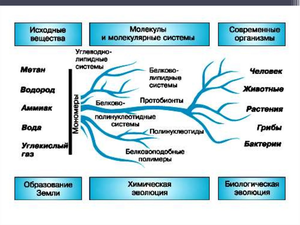 Биохимическая гипотеза рисунок