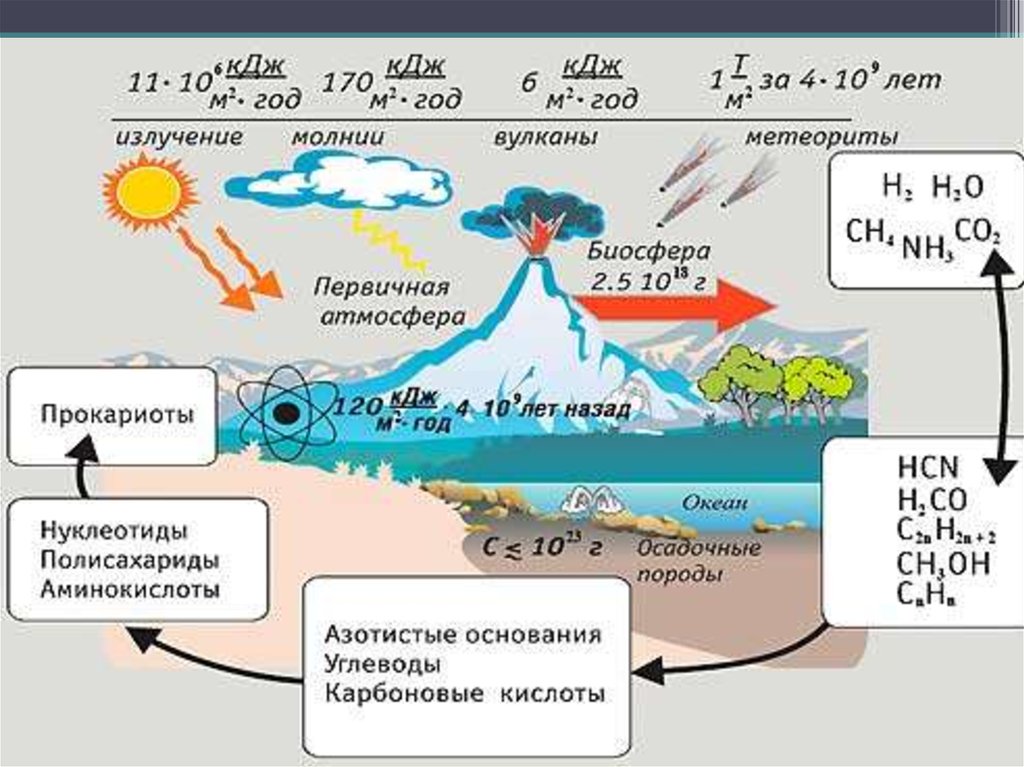 Этапы зарождения жизни опарина первичный бульон