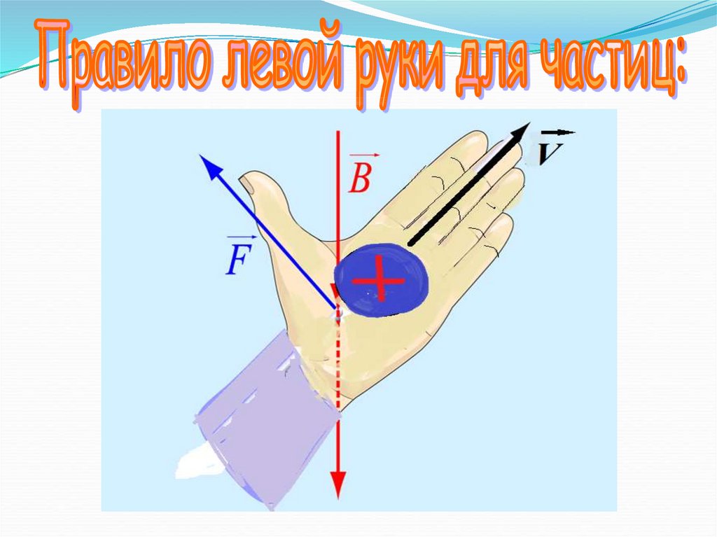 Правило левой руки физика 8 класс