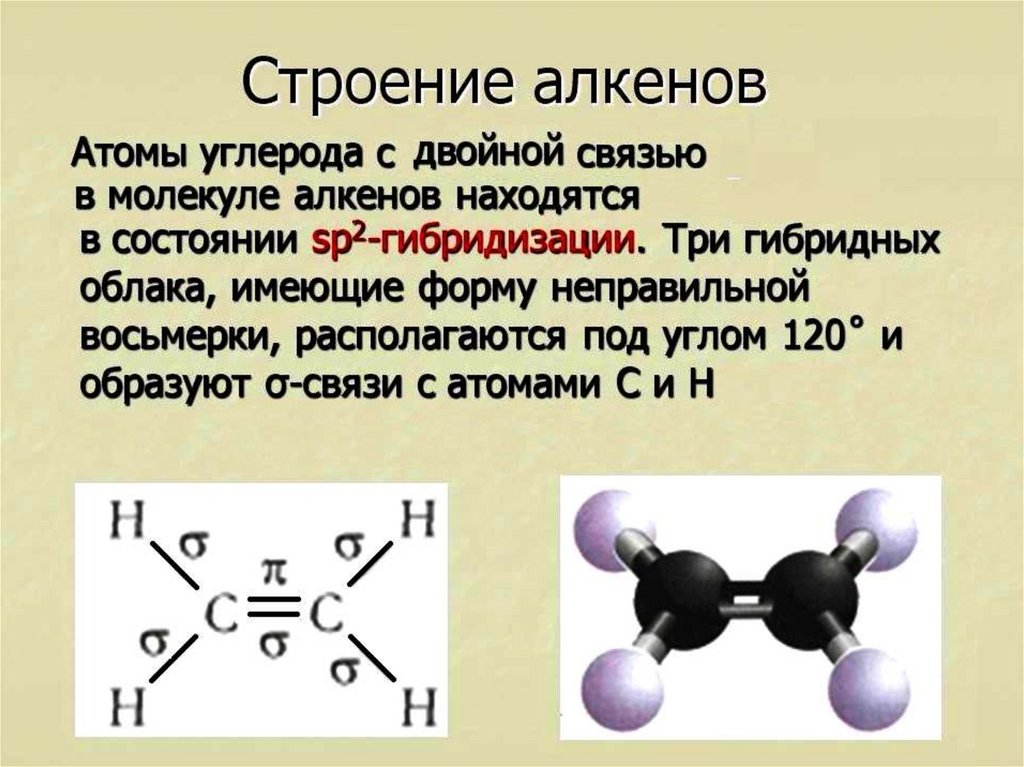 Углерод какая связь. Строение молекул алкенов кратко. Геометрическое строение алкенов.