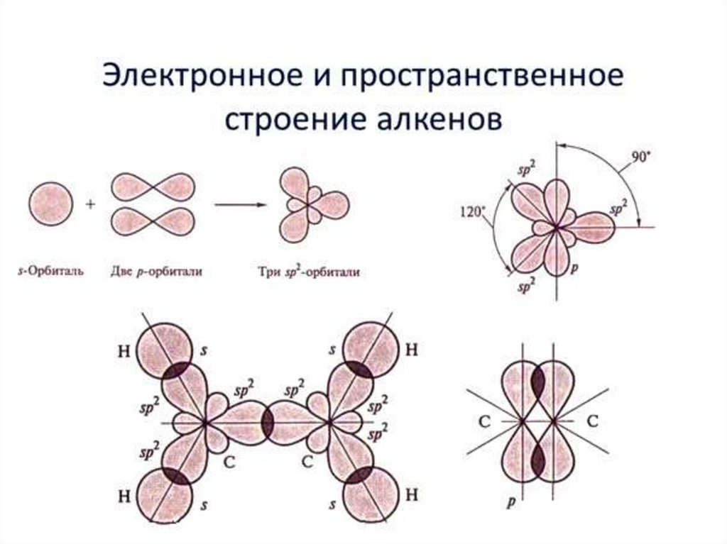 Определение гибридизации. Алкены строение молекулы. Строение молекулы алкенов. Электронное и пространственное строение молекулы алкенов. Строение молекулы алкинов.