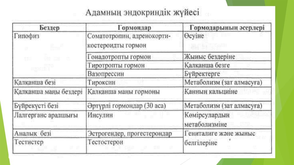 Ішкі секреция бездері презентация