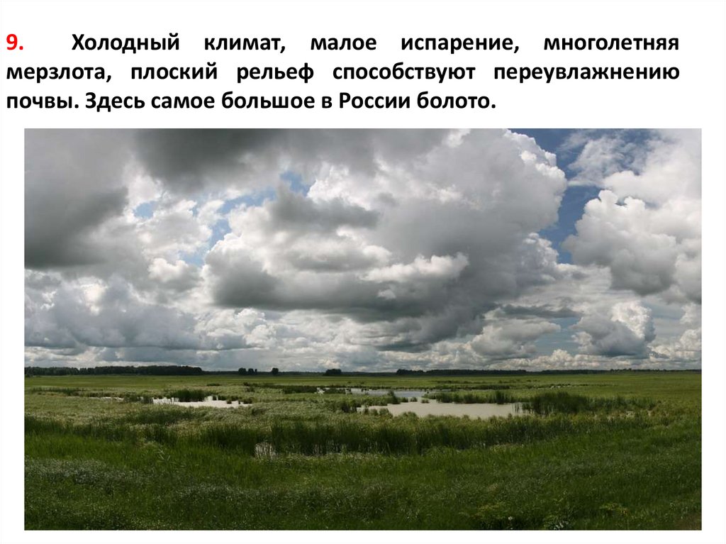 Чем отличается природа западной сибири. Области Западно сибирской равнины. Западно Сибирская равнина равнина. Западносибирская равнина рвнина. Западно Сибирская равнина НСО.