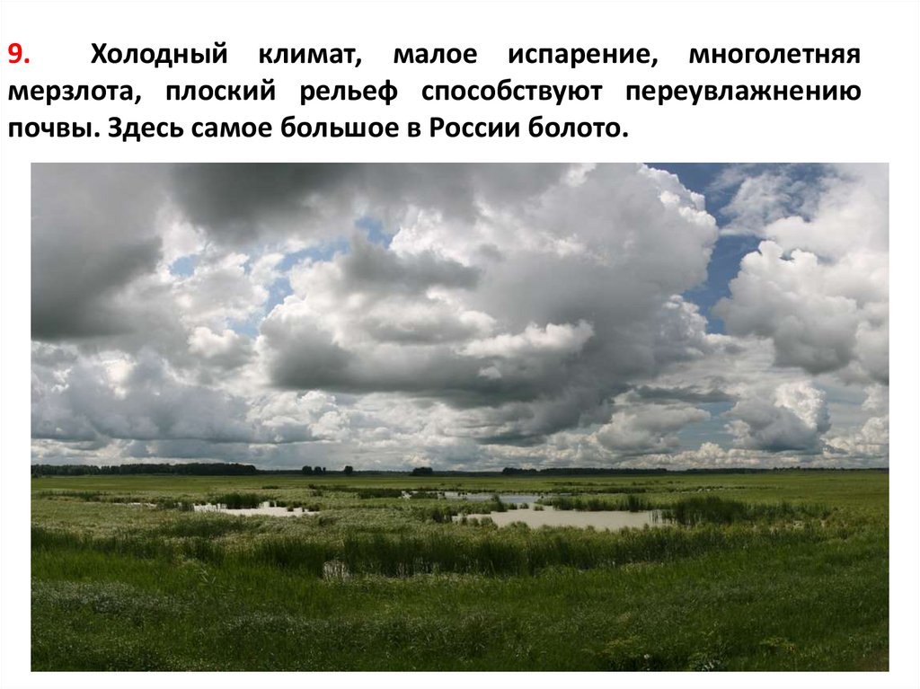 Западная сибирь условия жизни. Области Западно сибирской равнины. Западно Сибирская равнина равнина. Западносибирская равнина рвнина. Западно Сибирская равнина НСО.