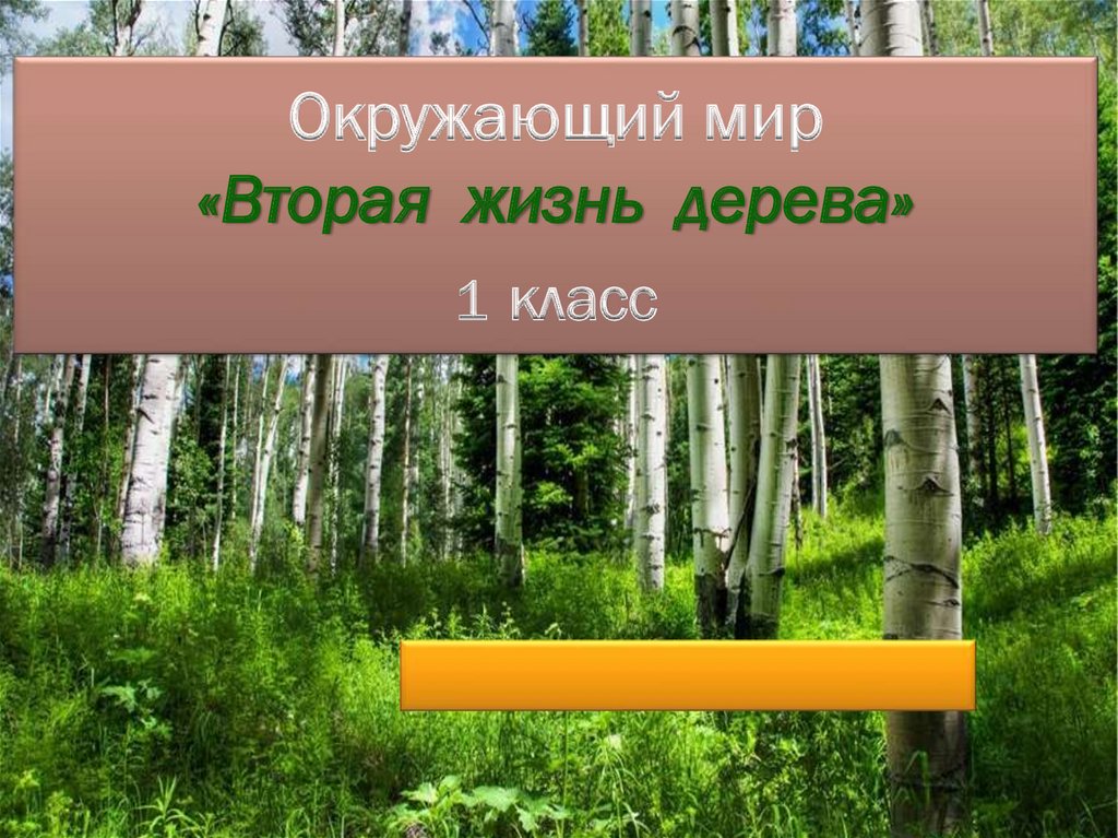 Дерево в жизни человека 1 класс гармония презентация