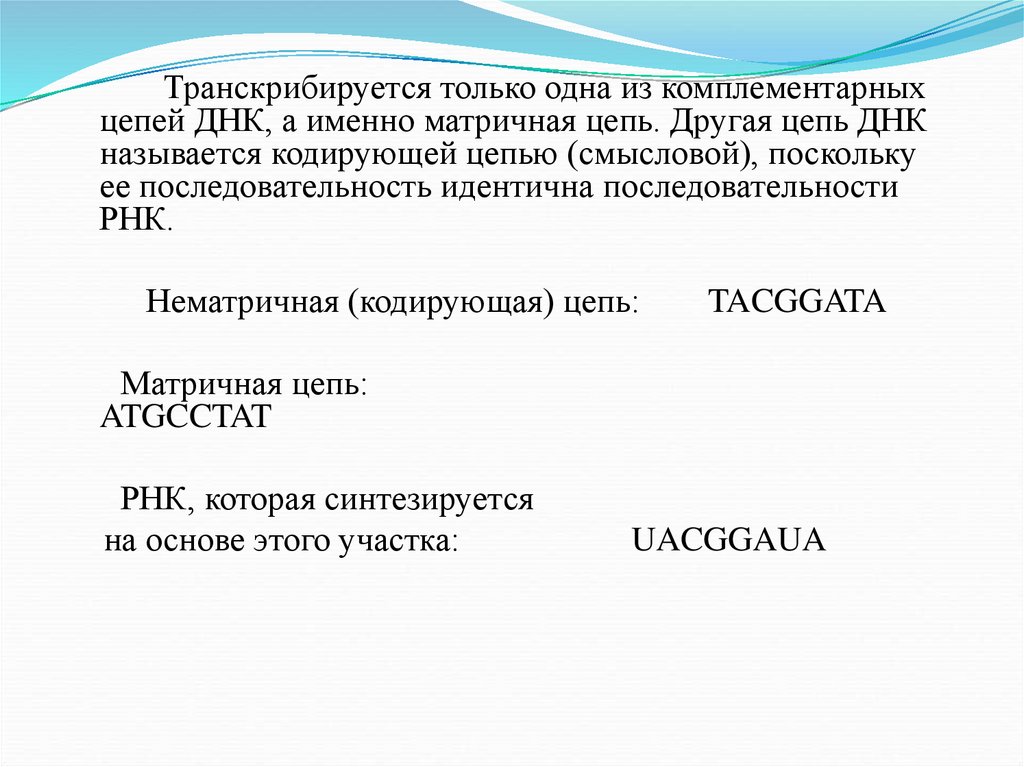 Смысловая цепь днк. Кодирующая и матричная цепь ДНК. Смысловая кодирующая цепь ДНК. Матричная цепочка ДНК. Матричная и смысловая цепь ДНК.