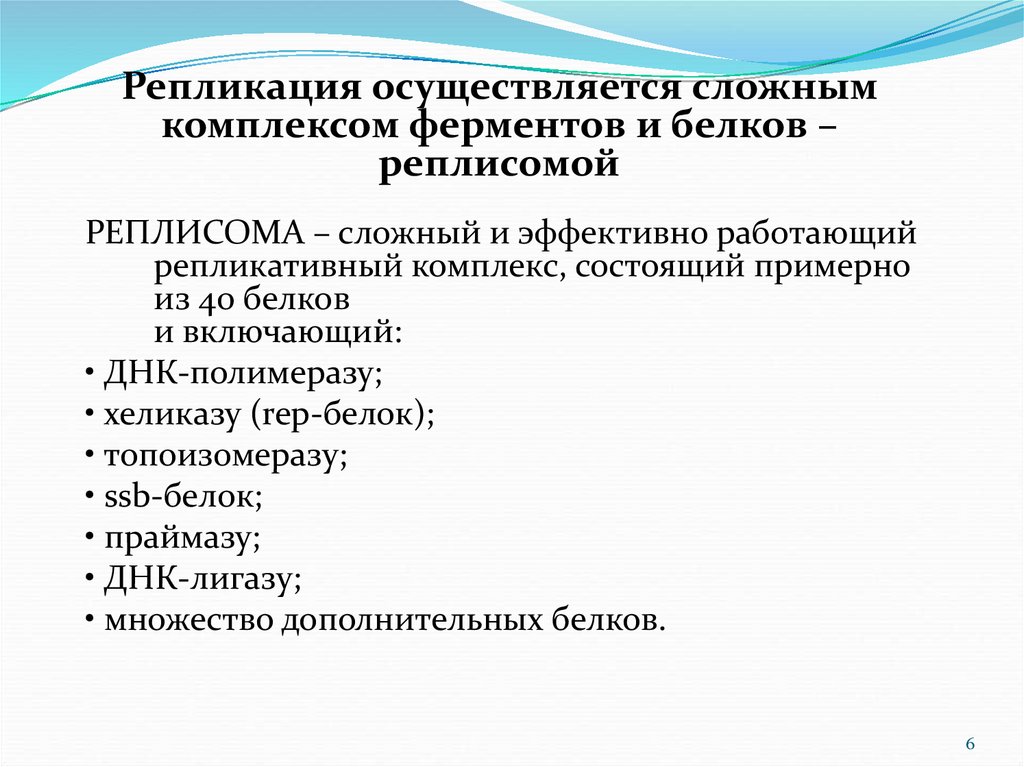 Белков репликации. Репликативный комплекс ферментов. Состав реплисомы. Ферменты и белки ДНК репликативного комплекса. Основные компоненты реплисомы.