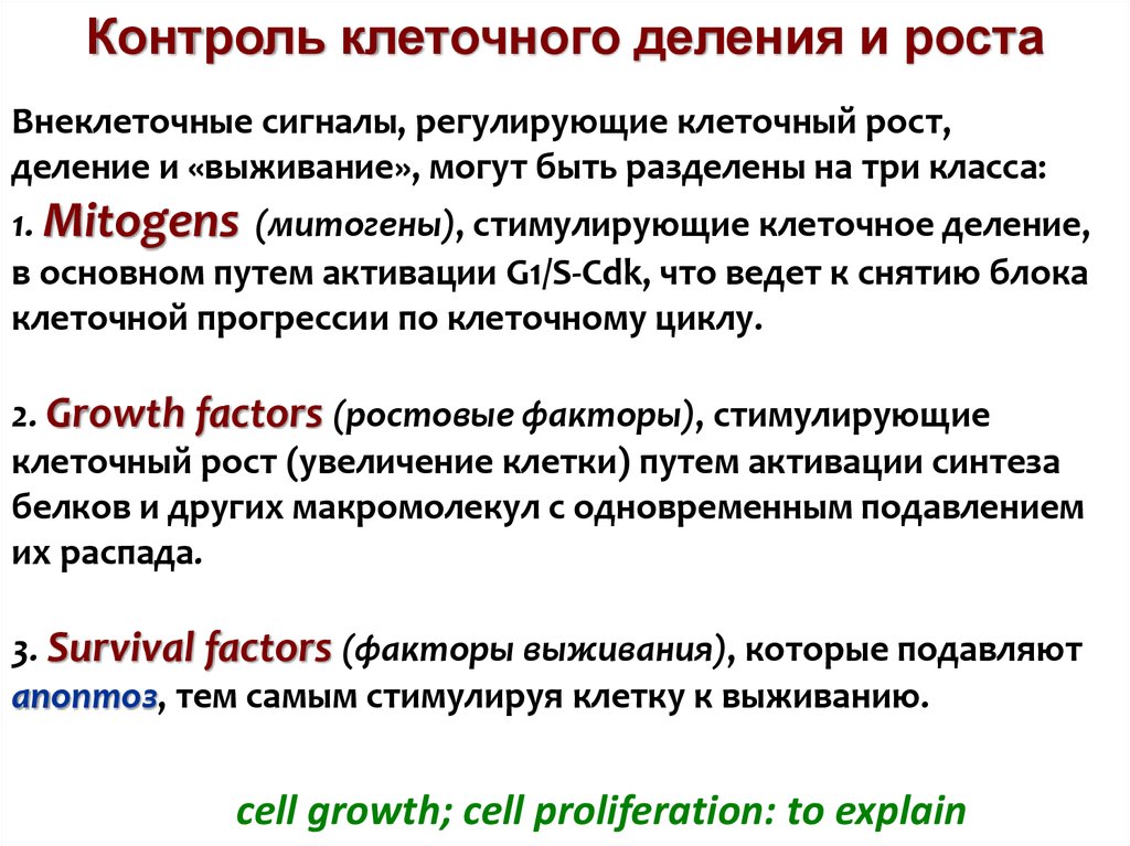 Контроль роста. Регуляция деления клеток. Механизмы регуляции клеточного деления. Контроль деления клеток. Контроль процессов деления клетки.