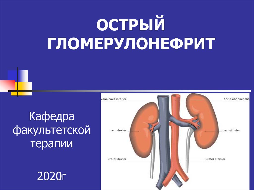 Гломерулонефрит у детей презентация