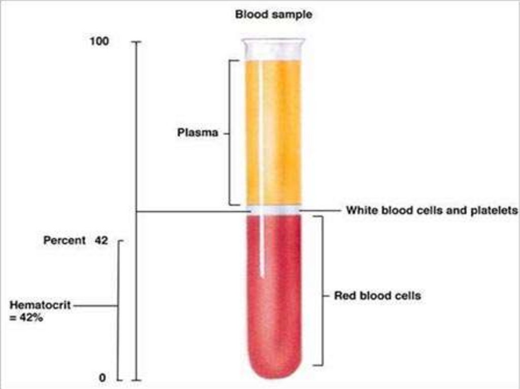 test viscosity of hemoglobin in rbc