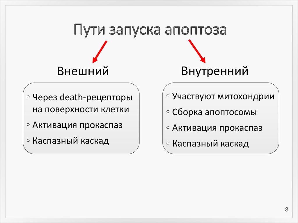 Путь запущенного. Сигнальные пути запуска апоптоза. Внешний путь апоптоза схема. Апоптоз внешний и внутренний путь. Перечислите основные пути запуска апоптоза:.