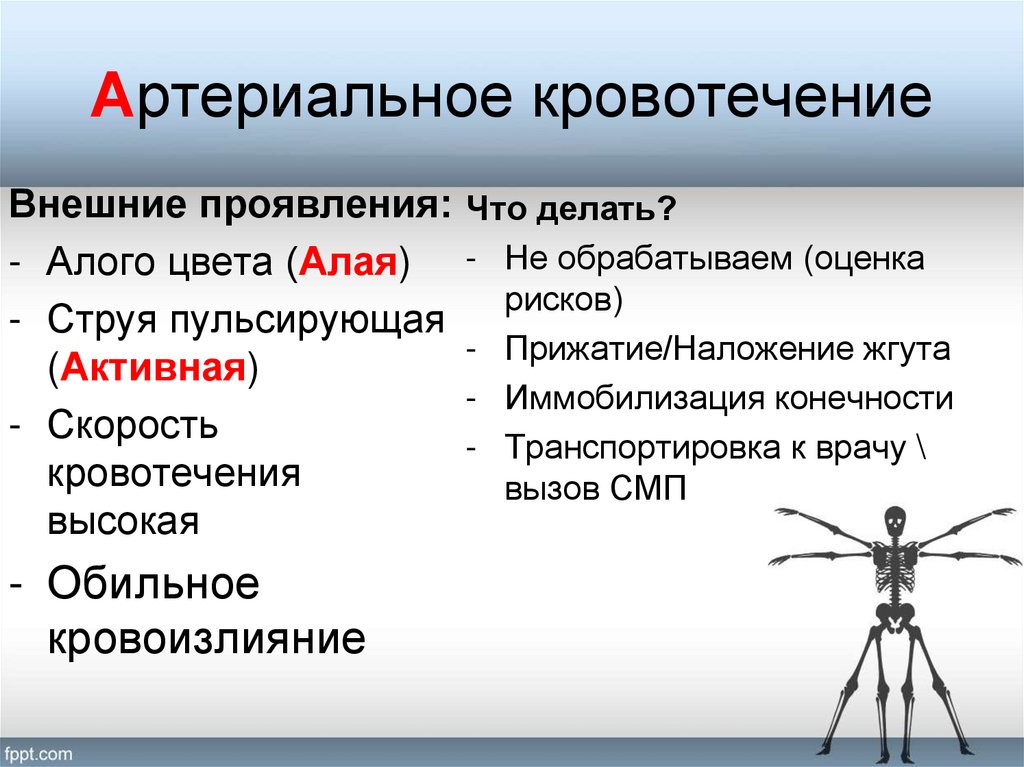 Карта вызова смп кровотечение