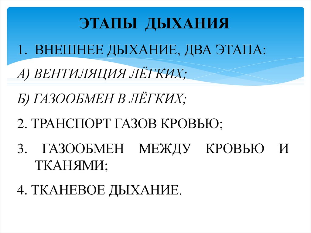 Этапы дыхания. Внешнее дыхание транспорт газов кровью тканевое дыхание. Этапы дыхания внешнее дыхание. Фазы внешнего дыхания. Внешнее дыхание это газообмен между.