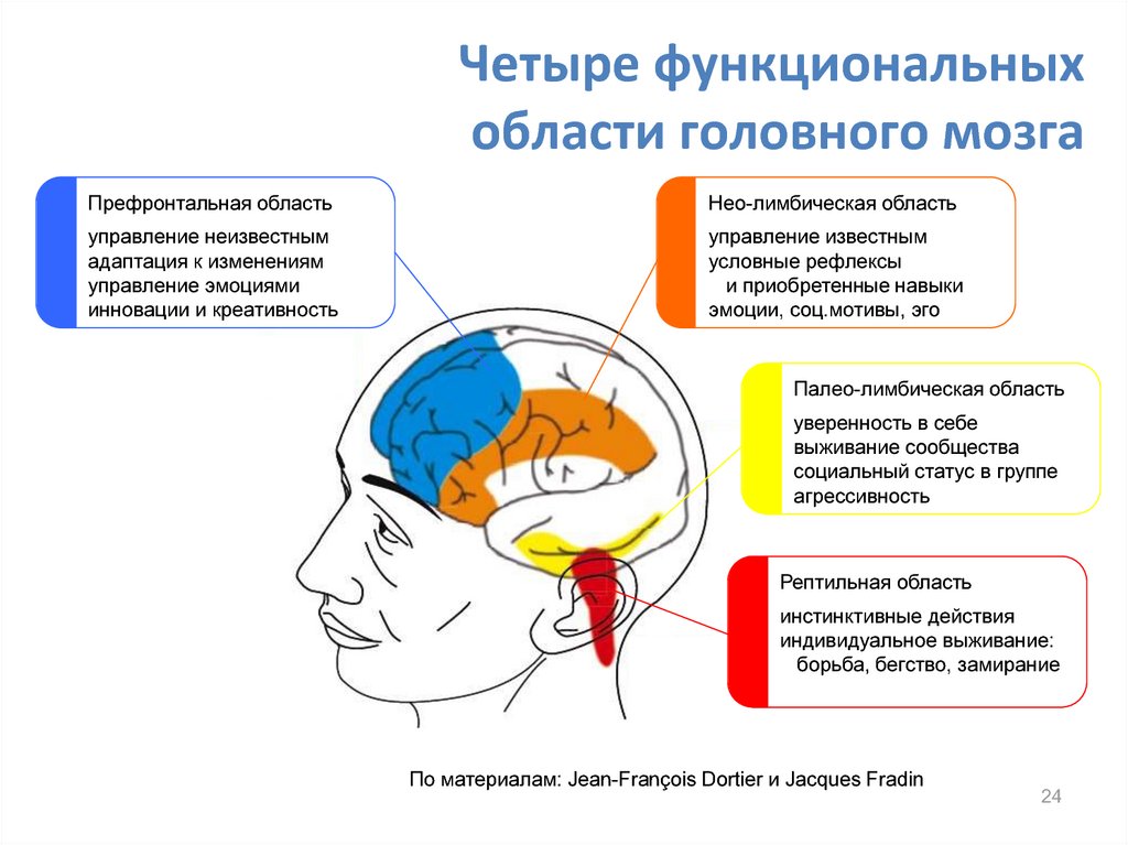 Симптомы нарушения работы отдела головного мозга