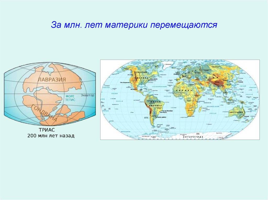 Материка на год. Как передвигаются материки. Как сместятся материки в будущем. 1502 Год материки. Как сдвинутся материки в будущем.