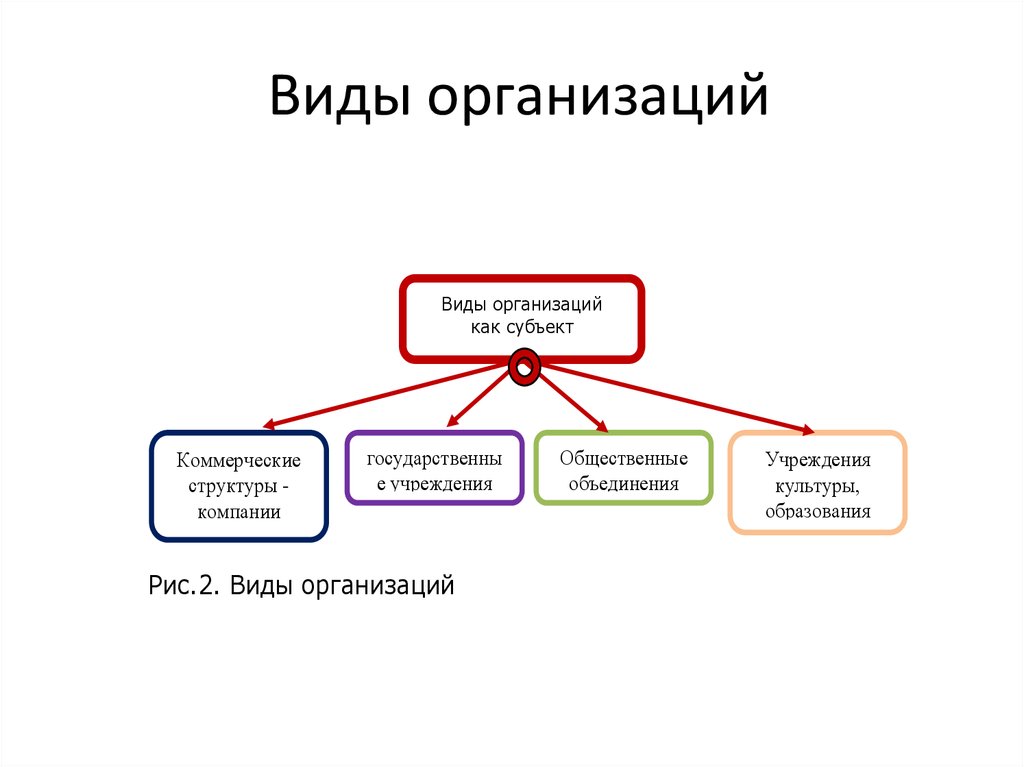 Виды организации людей