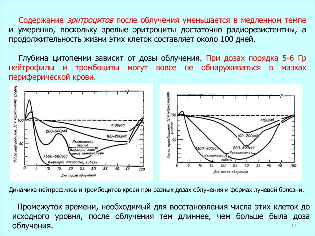 Как вывести после кт. Эритроциты после лучевой терапии. Критические системы организма. Изменения в крови после облучения.