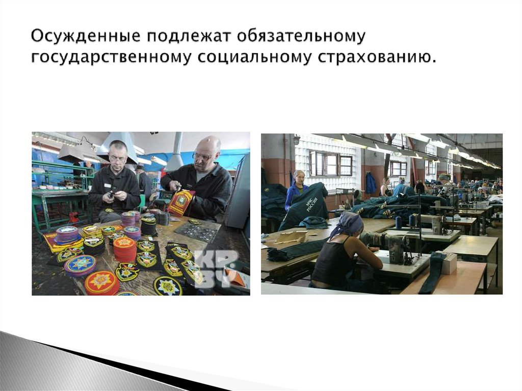 Осужденные подлежат обязательному государственному социальному страхованию.