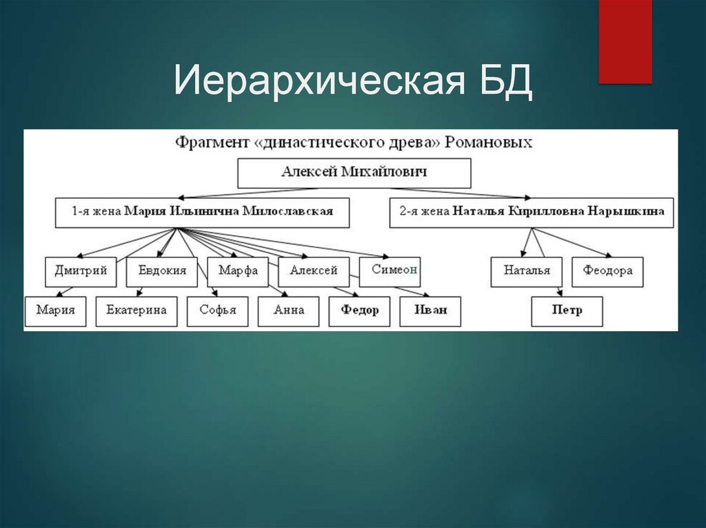 Иерархическая модель данных виды. Иерархические базы данных. Иерархия структура данных. Иерархическая организация данных. Иерархическая модель автомобиля.