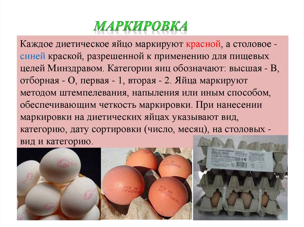 Оценка качества яиц. Hub1007011 маркировка инкубационного яйца. Ассортимент яиц и яичных товаров. Ассортимент яиц и яичных продуктов. Презентация яйца и яйцепродукты.