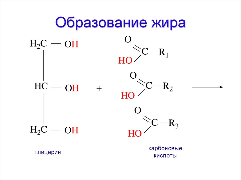 Образование жиров