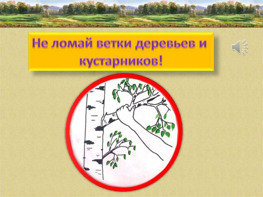 Охрана растений 3 класс. Знак не ломать ветки. Не ломай ветви деревьев и кустарников. Нельзя ломать ветки деревьев. Не будем ломать ветки деревьев и кустарников.