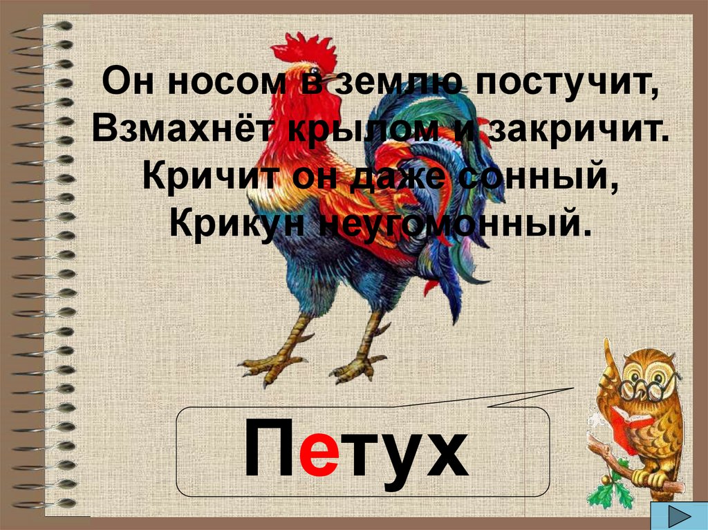 Предложение со словом петух