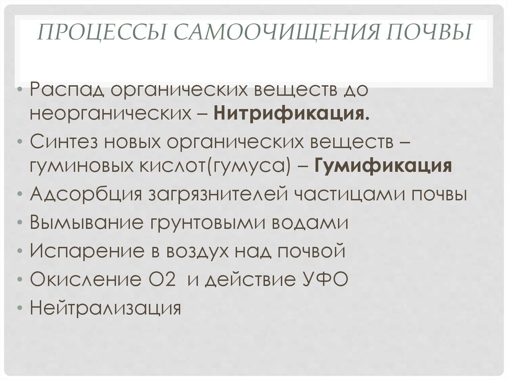 Процессы в почве. Процессы самоочищения почвы. Этапы самоочищения почвы. Первый этап самоочищения почвы. Стадии самоочищения почвы.