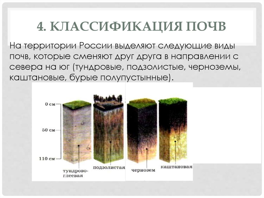 Разнообразие почв 4. Различие почв схема. Классификация типов почв.