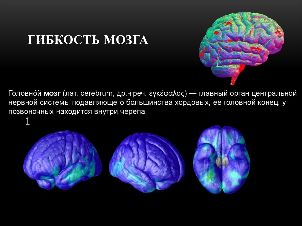 Когнитивная гибкость презентация